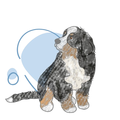 Bäri